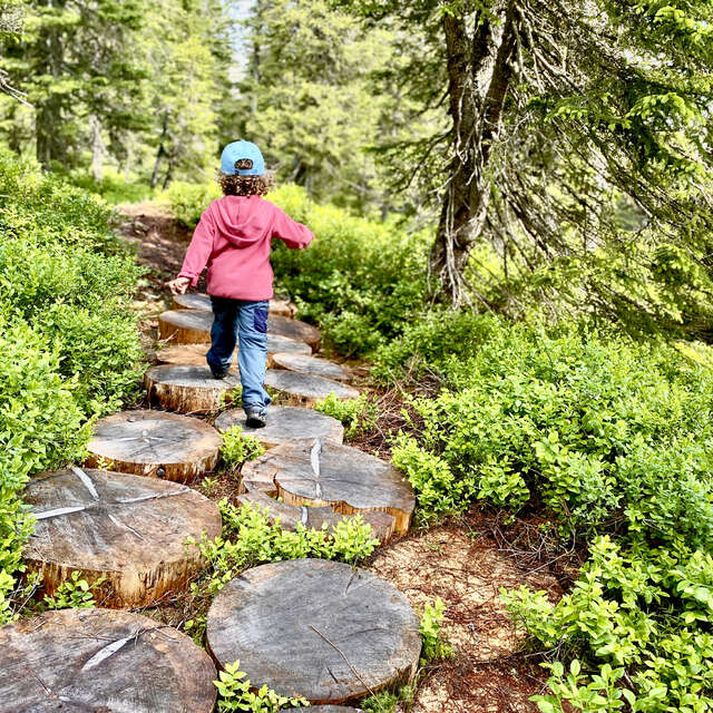 Arpelières trail