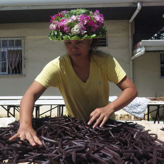 VANYLLE DE TAHITI