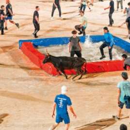 Feria - Toro-piscine «Interbandes»