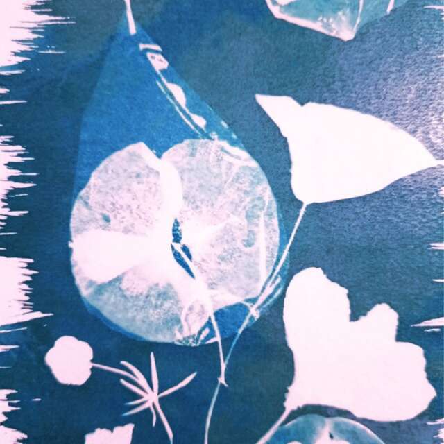 6 x 6 - Nuages et peuples du ciel