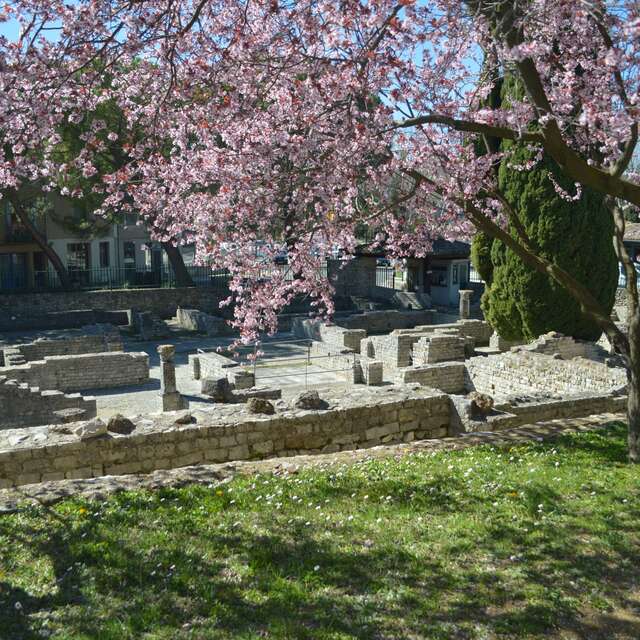 Guided tours of the ancient site of Puymin