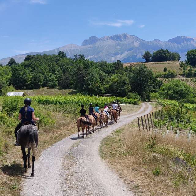 Balade à cheval pour cavaliers débutants - Alpes Cheval