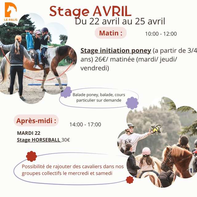Stage initiation poney au Centre équestre 'Le Palis'