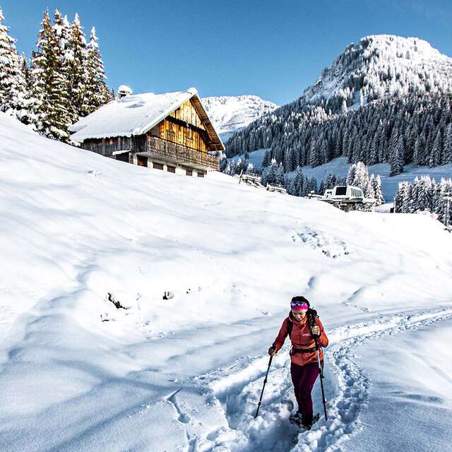 Snowshoe trail - Petit Châtel circuit