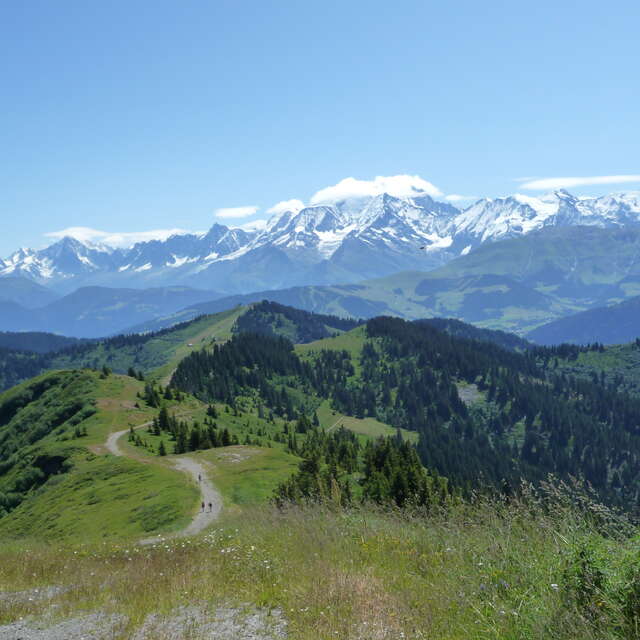 Müllabfuhr