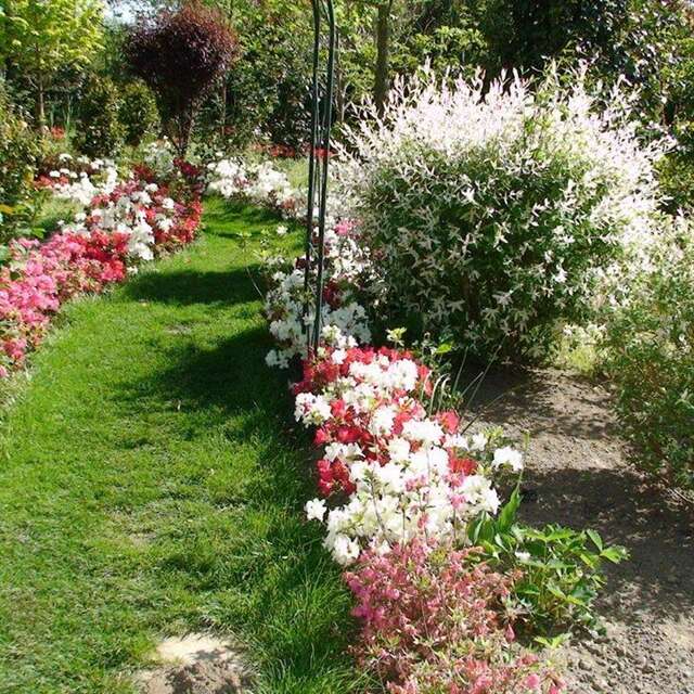 Parc Floral Les Camellias de la Prairie