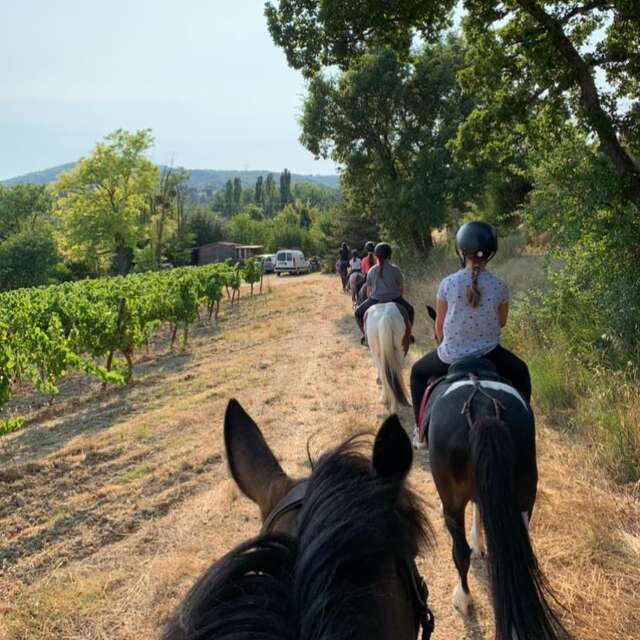 Randonnées, cours et stages du Club De Flicka