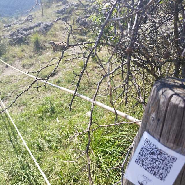 Jeu A la découverte des marmottes