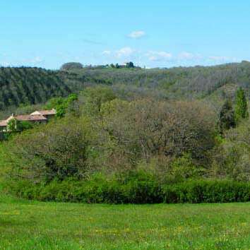 Gîte Vert