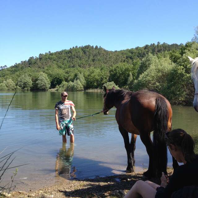 Le ranch du Lac de Saint-Cassien: Balades équestres