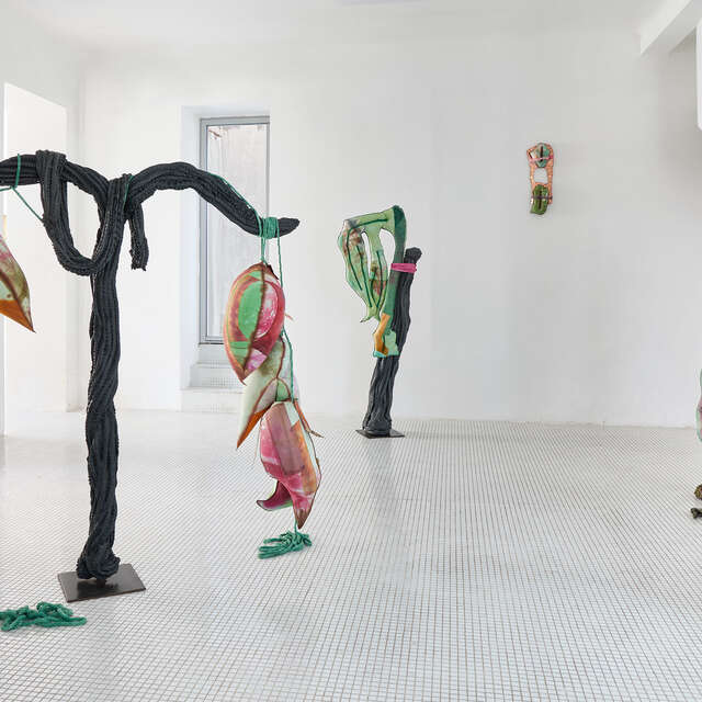 Exposition « Fuegophillia », d’Amandine Guruceaga