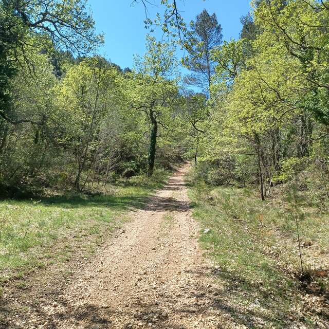 Les singles du bois de la Lare