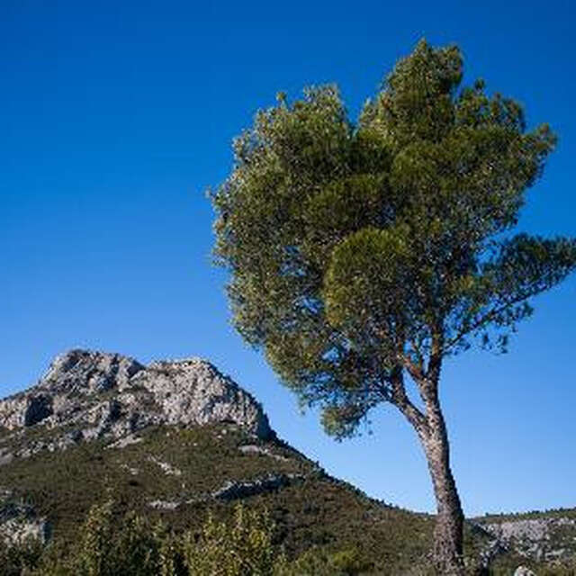 Aubagne : Le piemont du Garlaban