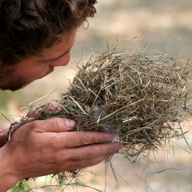 Le Temps des Savoir-Faire