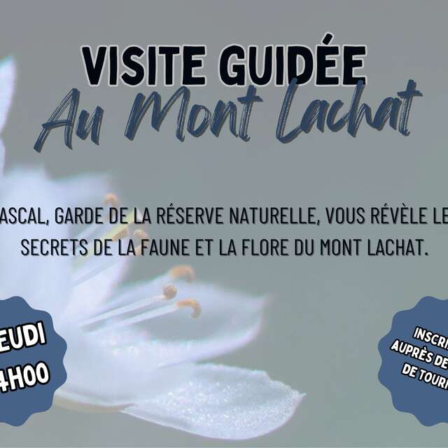 Visit to the "Details of the Living" exhibition at Lachat