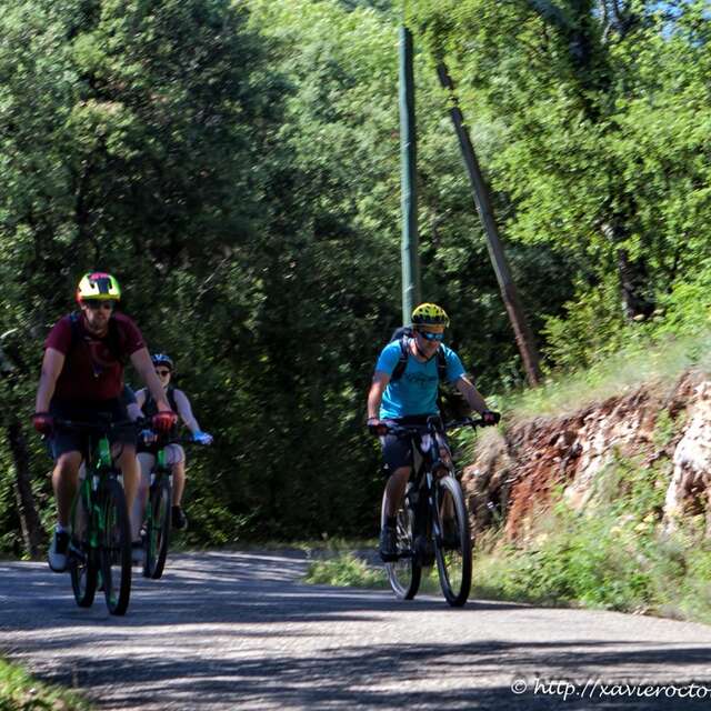 Paysages à vélo