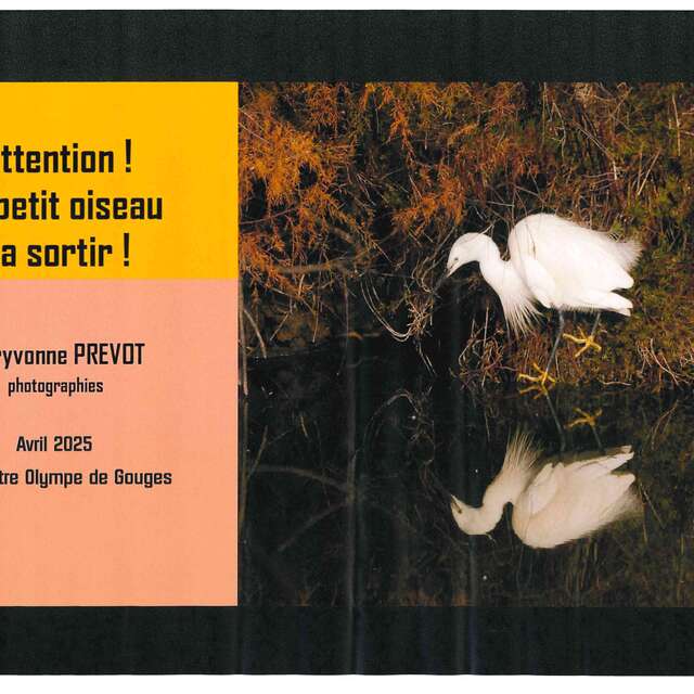 Exposition - Attention! Le petit oiseau va sortir