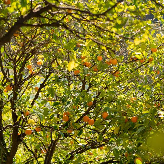 Balade Nature