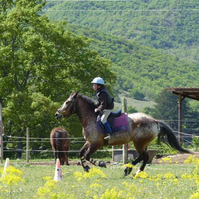 Promenade à cheval - Poney Club de Thor