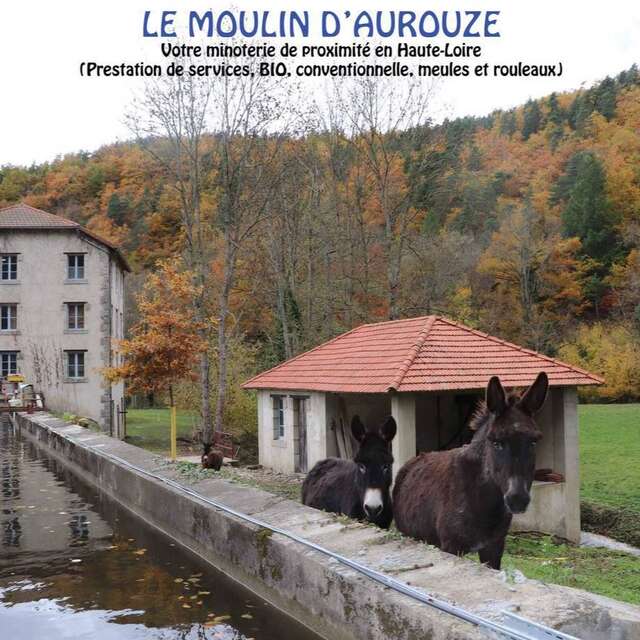 Marché de producteurs au Moulin d'Aurouze