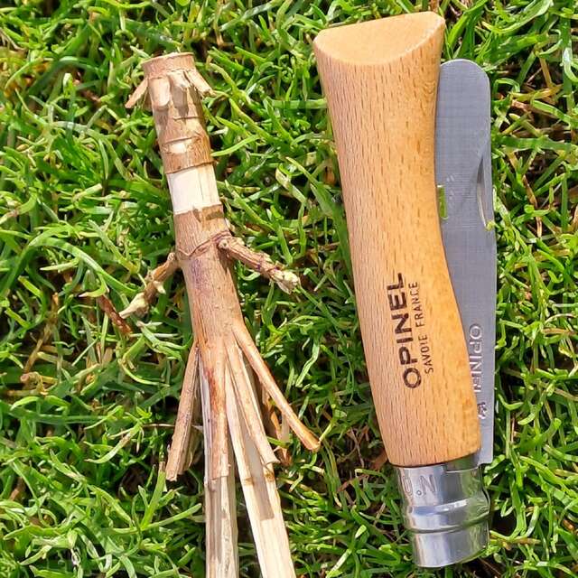 The little knife