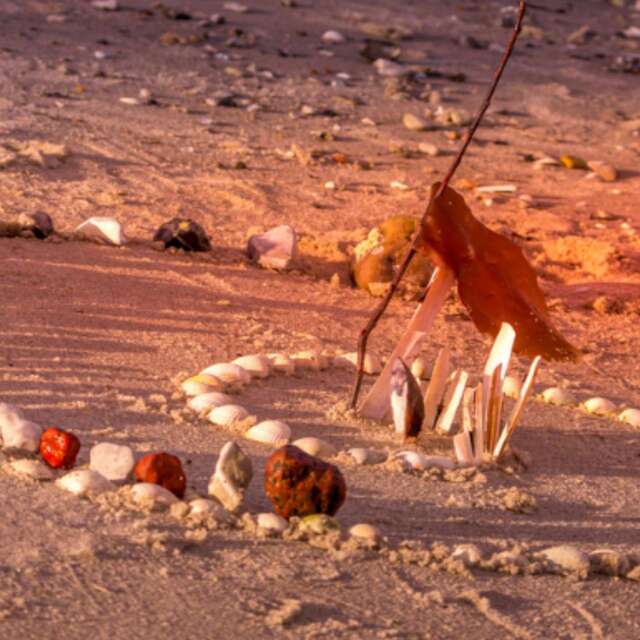 Ferme de la forêt - Land Art