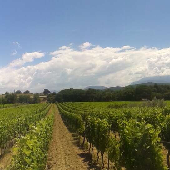 Domaine Terre de Gaulhem