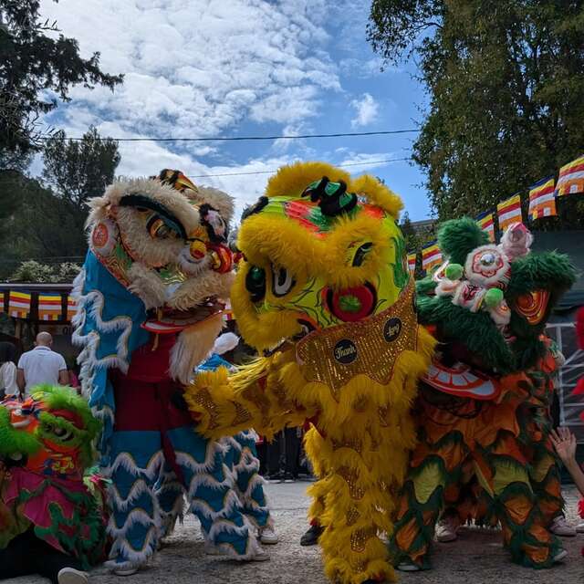 Danza del leone (Múa Lân) della scuola di arti marziali vietnamita Thanh Long Võ Đạo Francia - una prima da 10 anni al Musée départemental des Arts Asiatiques - Nizza