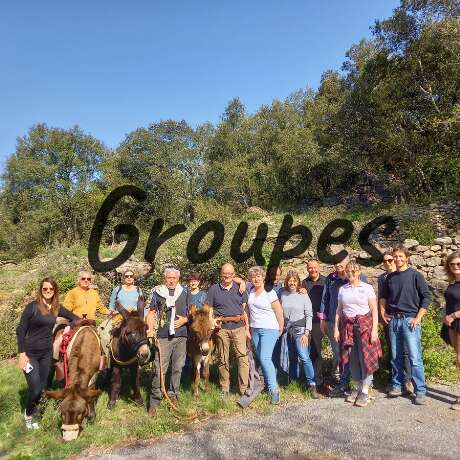 Natur'Anes (donkey rental)