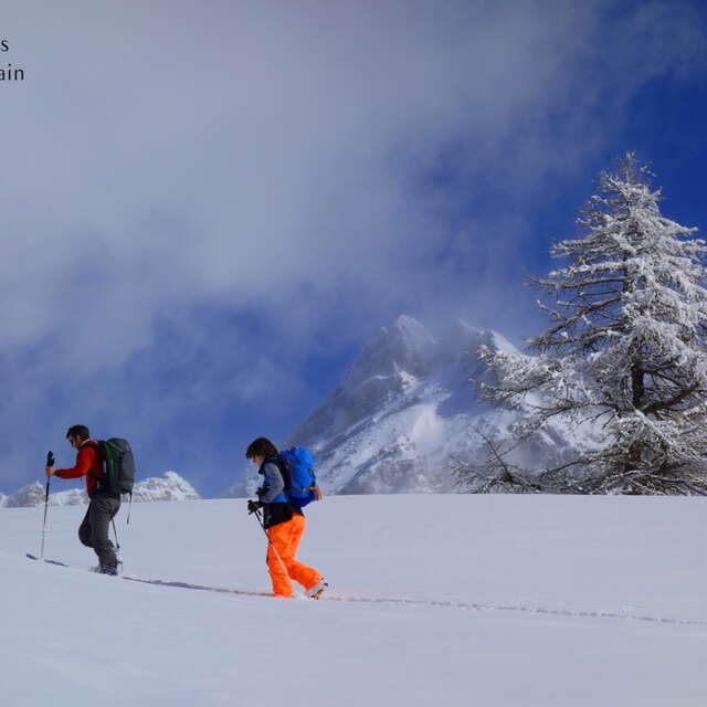Ski de rando : suivre le guide, partager les sommets