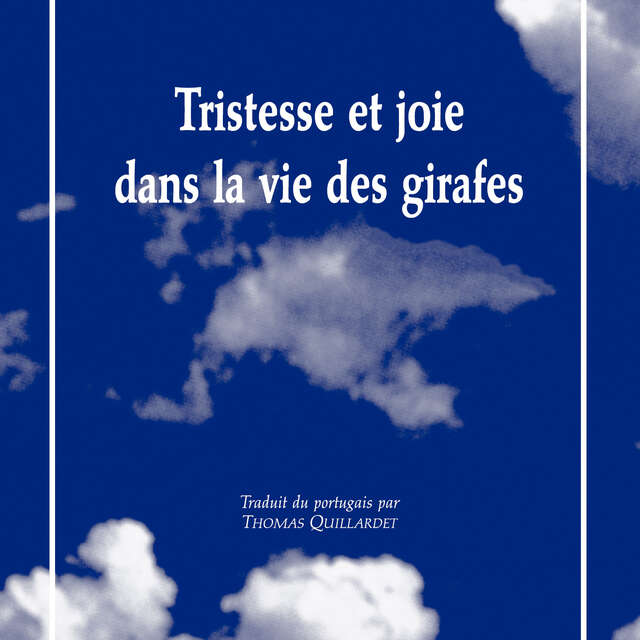 Théâtre en plein air à Ecouflant : Tristesse et joie dans la vie des girafes