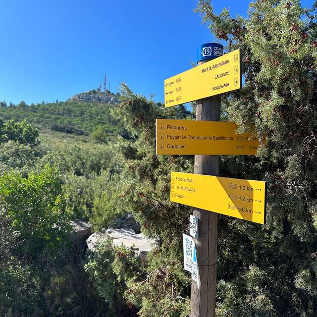 Le Mont du Marseillais