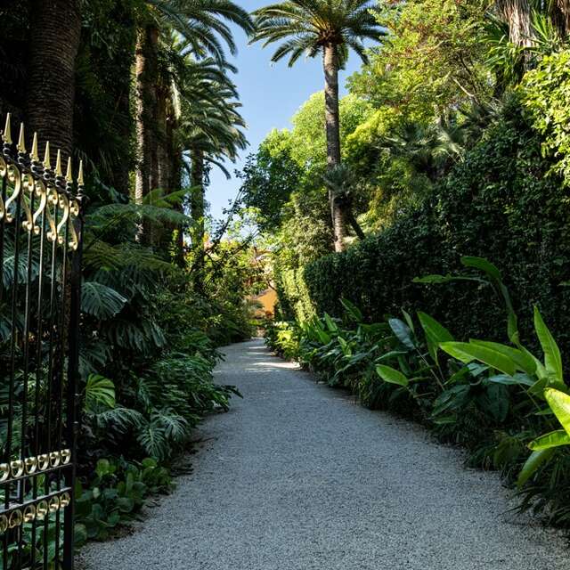 Visite-atelier famille au Val Rahmeh : la Barbe de Jupiter a du Souci à se faire !