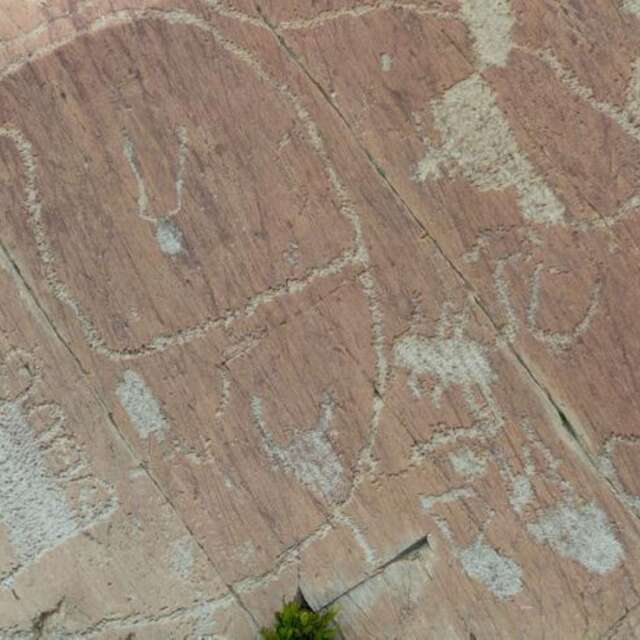 Excursion avec visite guidée des gravures rupestres des vallées des Merveilles et de Fontanalba, en approche motorisée, Luc Fioretti
