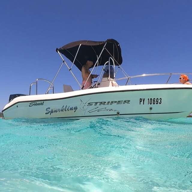 Aimeho fa'ati - Private boat tours - Sortie baleines