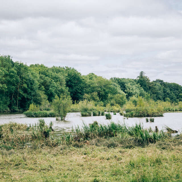 Marais de Montreuil-Juigné