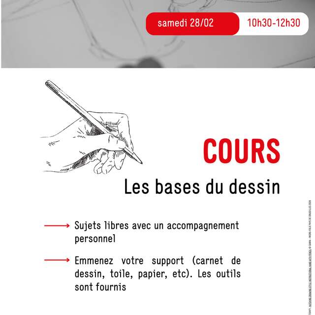 Cours : Les Bases Du Dessin