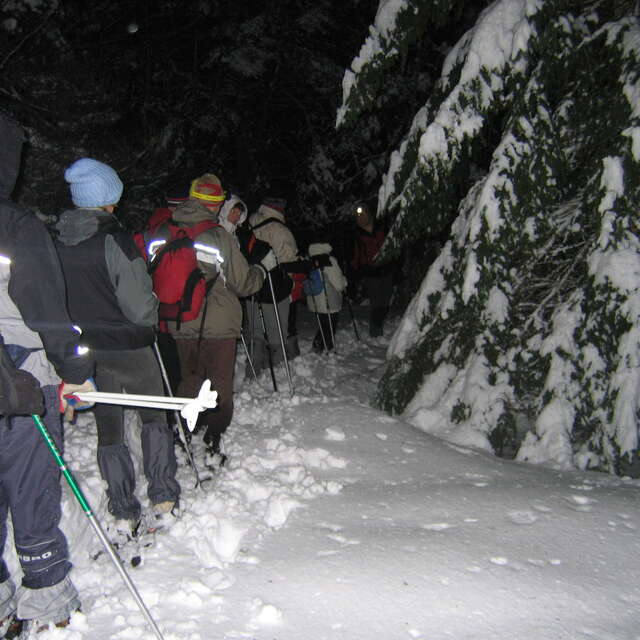 Veillées nordiques en Loire Forez