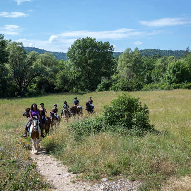 Balade à cheval : Réserve de Fondurane