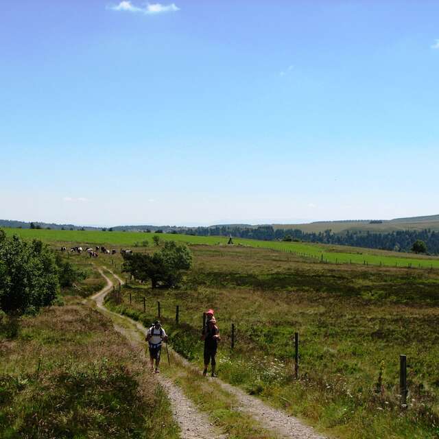 Réserve Naturelle Régionale des Jasseries de Colleigne
