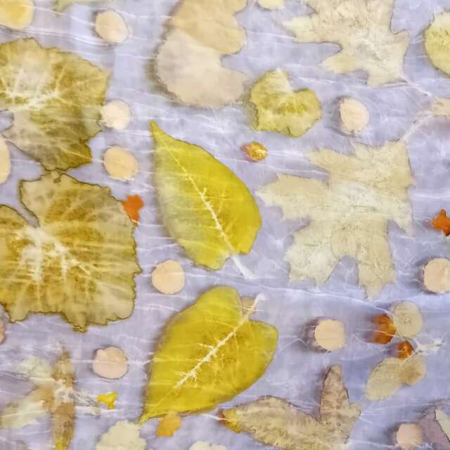 Atelier de écoprint