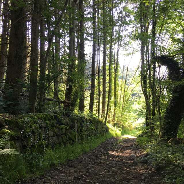 Espace Trail Massif du Forez