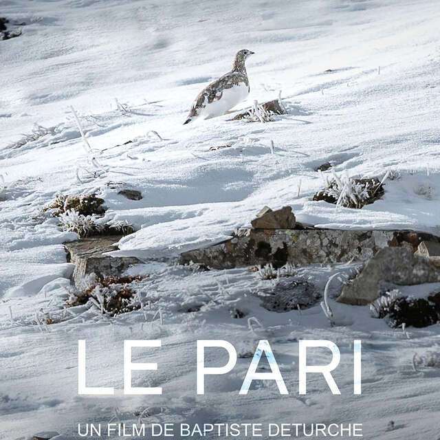 Le Pari