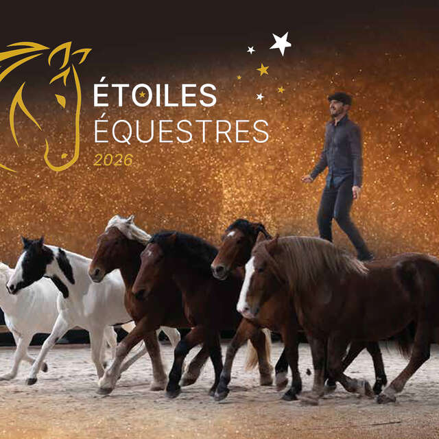 Spectacle : Étoiles équestres