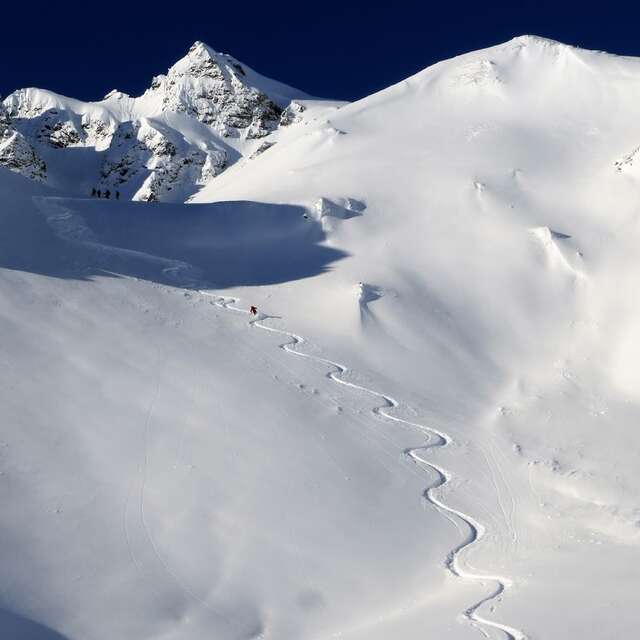 Alpine Experience
