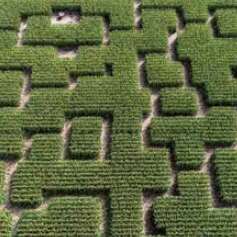 Aventures dans le Popcorn Labyrinthe