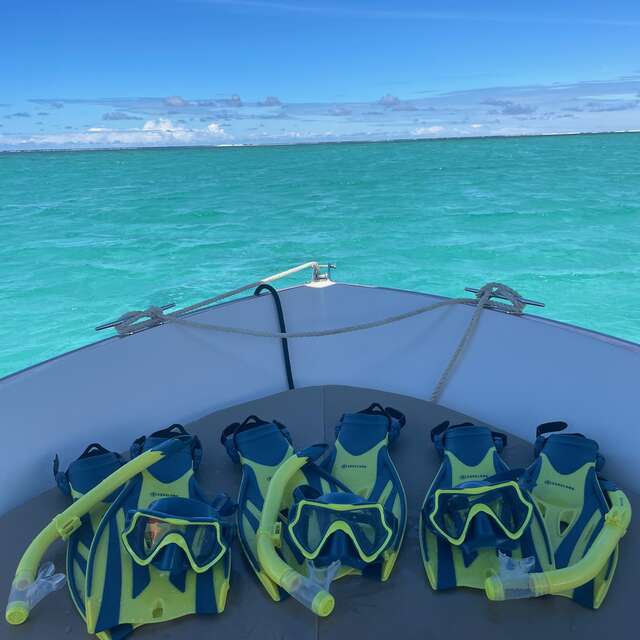 Polyn'Easy Dive and Tours