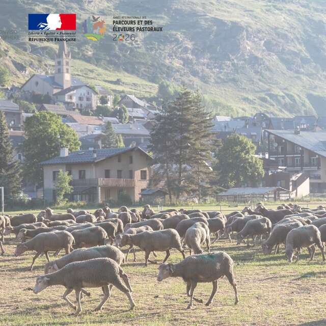 Soirée pastorale à Aiguilles