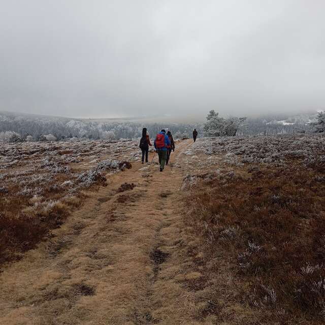"Contes et traditions foréziennes" au bord du feu - Rando-raquettes