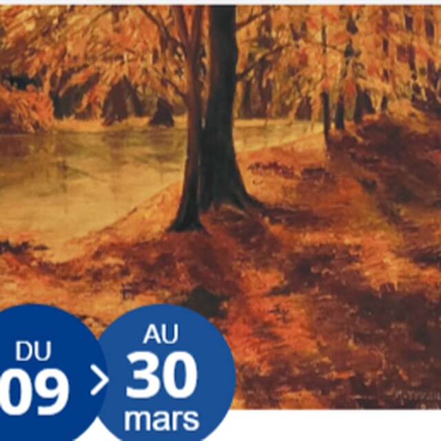 Exposition "Toute une vie de dessin"